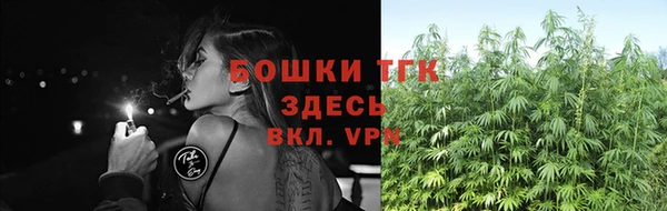 spice Арсеньев