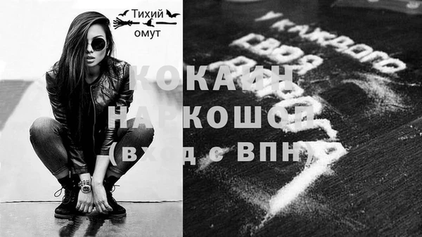 шишки Армянск